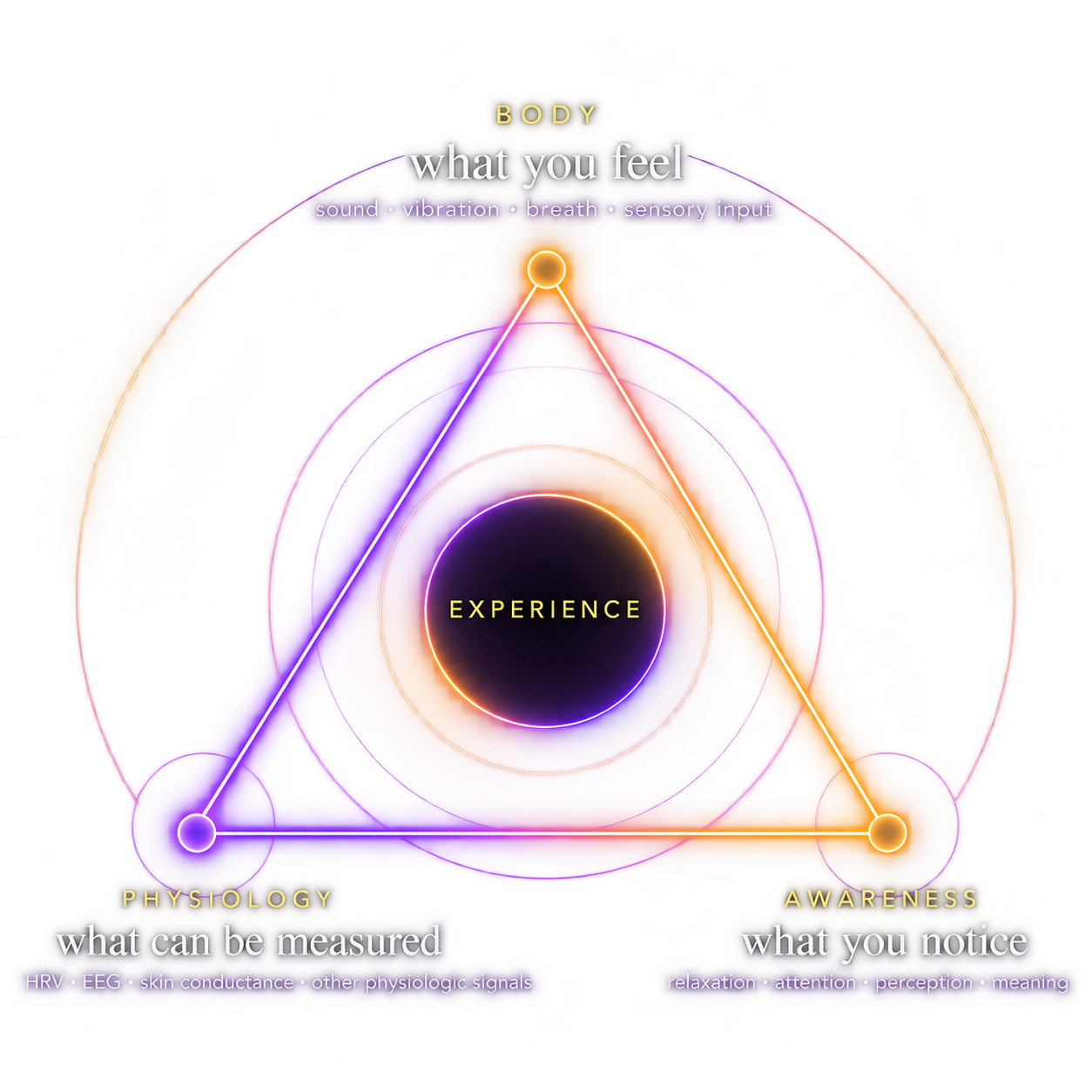 Triangle connecting body, physiology, and awareness around the shared experience
